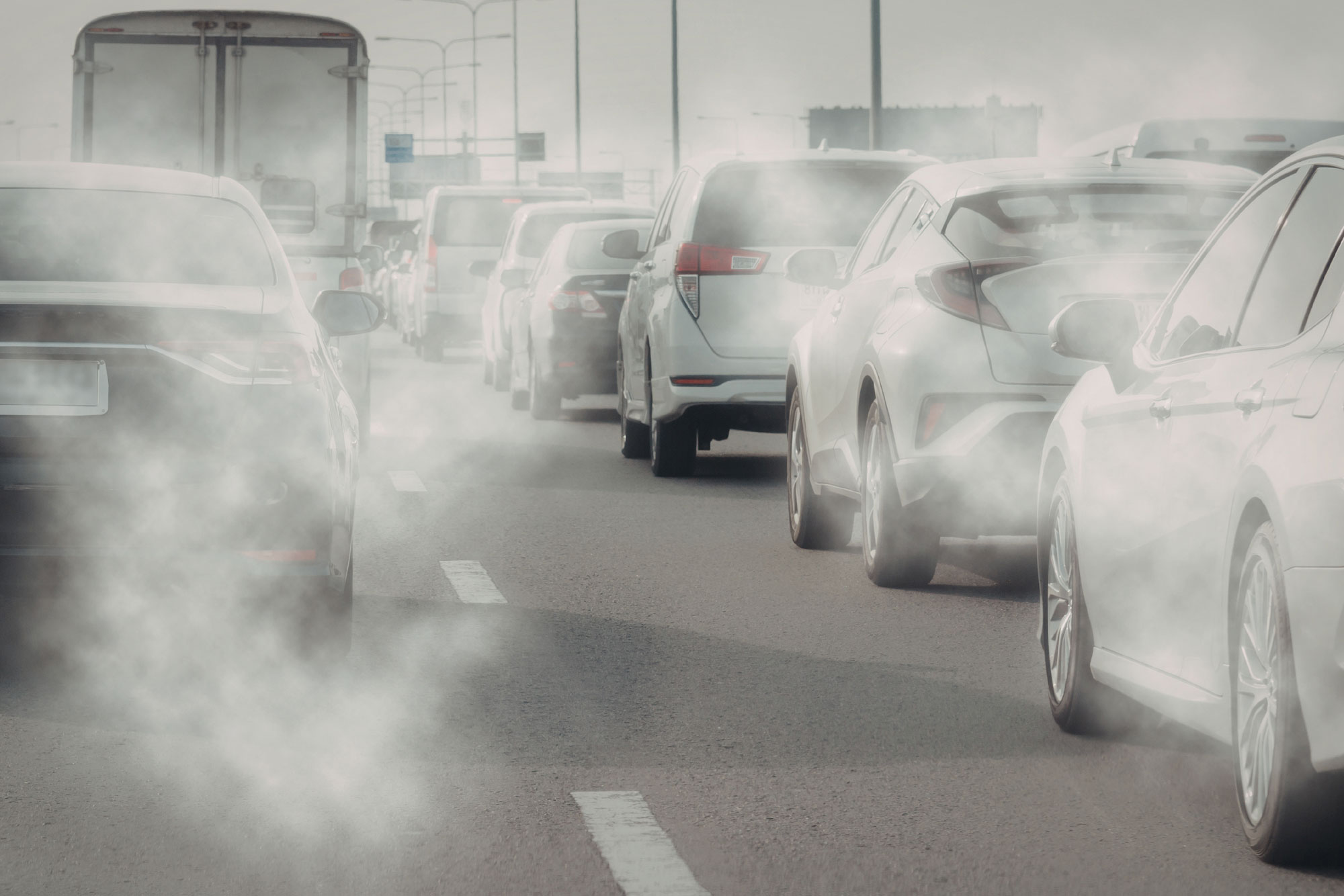 Diesel emissions research examining blood-brain barrier effects