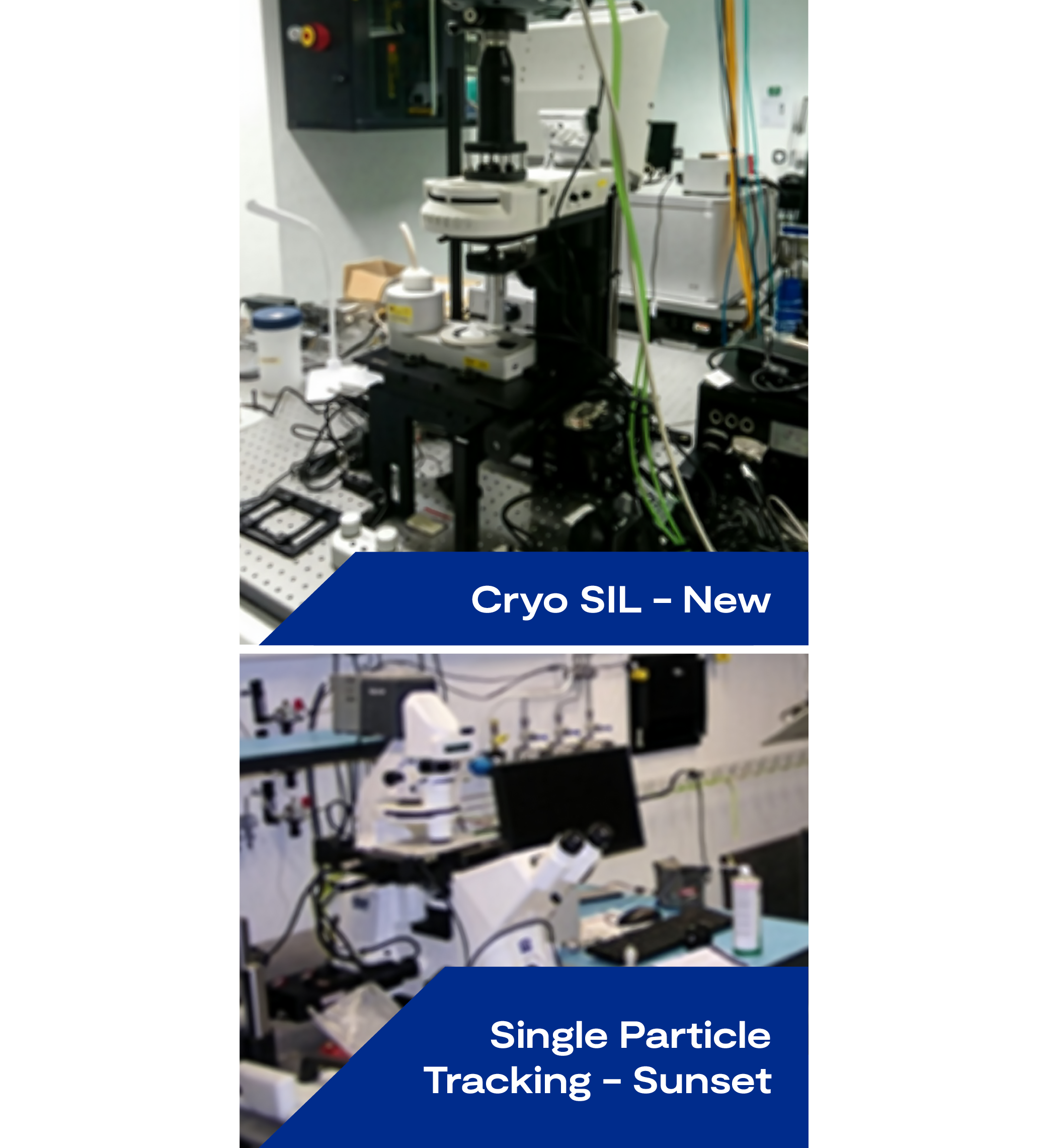 Two photos, one saying “Cryo SIL - New” and the other, “Single Particle Tracking - Sunset"