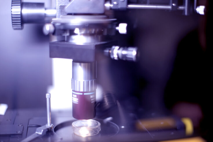 close-up of a microscope
