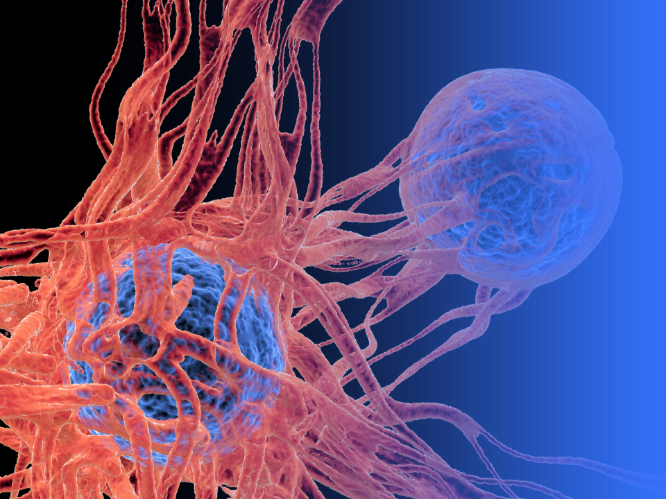 Computer image of cancer infecting a cell. Credit: Canva